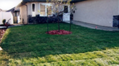 Emerald Landscaping - Services: Sod/Lawn
