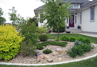 Emerald Landscaping - Services: Plant Material